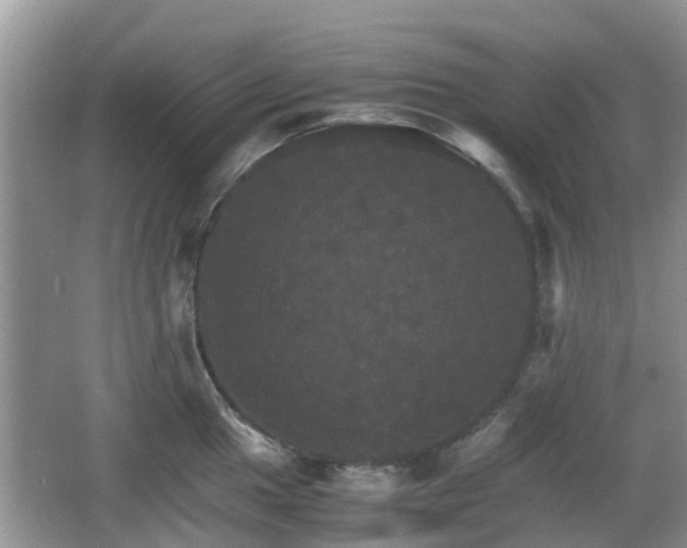 X0000066541049200603241406