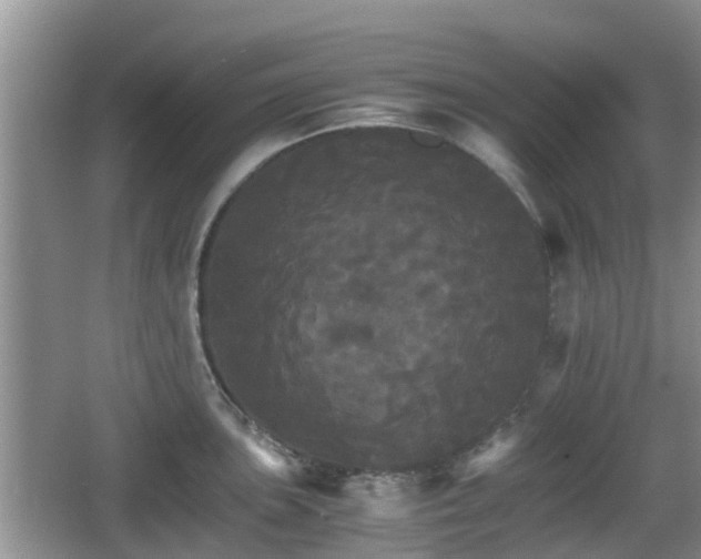 X0000066541051200603241406