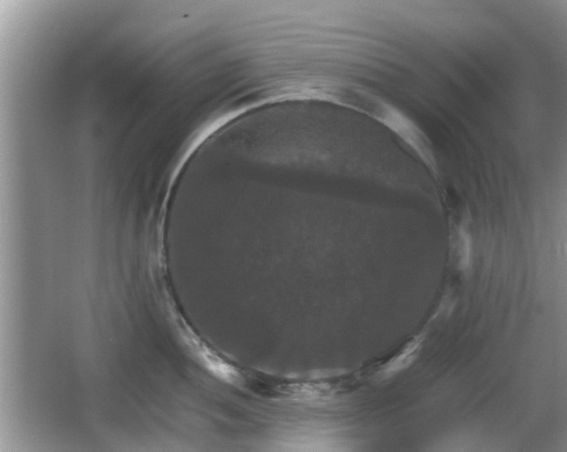 X0000066541052200603241406