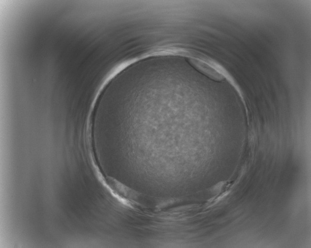 X0000066541053200603241406