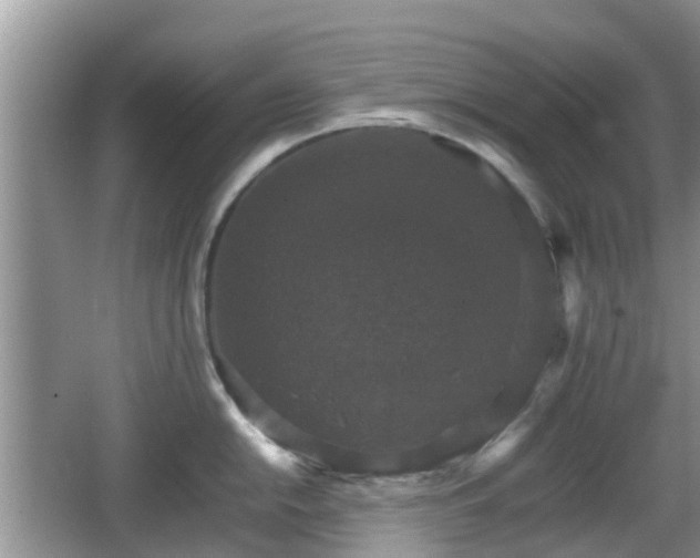 X0000066541054200603241406