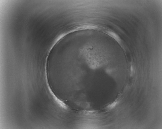 X0000066541055200603241406