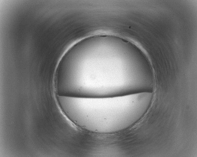 X0000066541056200603241406