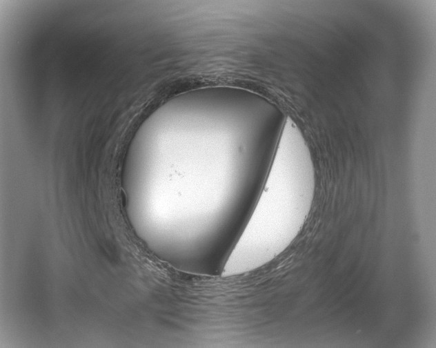 X0000066541057200603241405