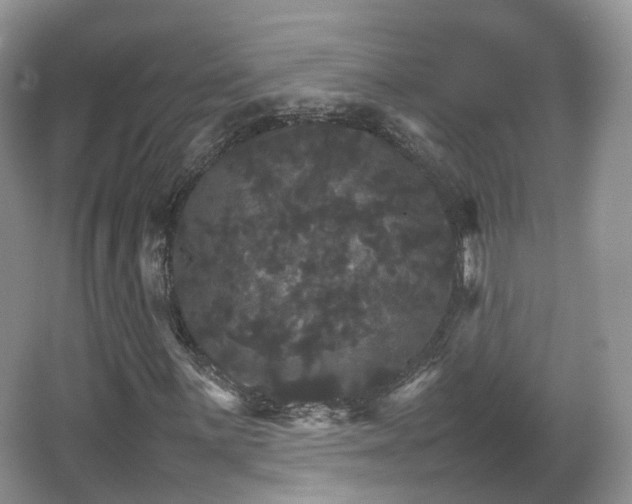 X0000066541059200603241405