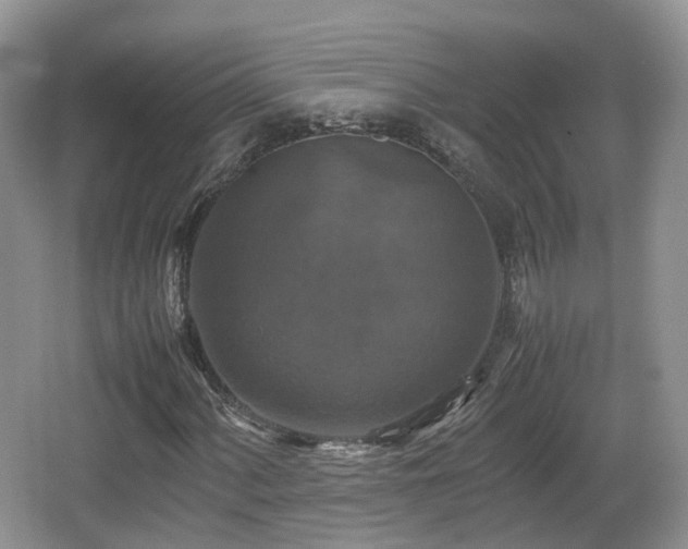 X0000066541060200603241405