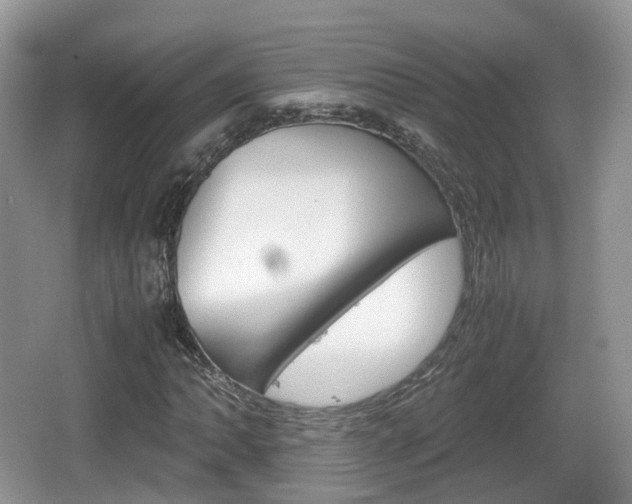 X0000066541062200603241405