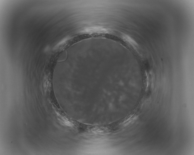 X0000066541063200603241405