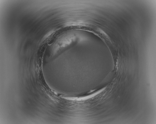 X0000066541064200603241405