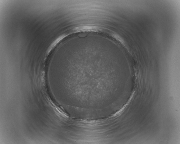 X0000066541066200603241405