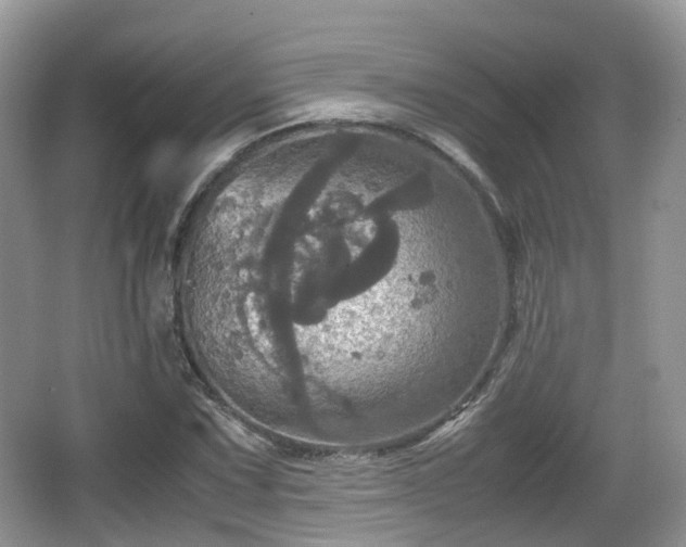 X0000066541067200603241405