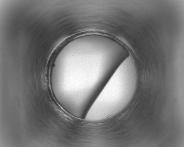 X0000066541068200603241405