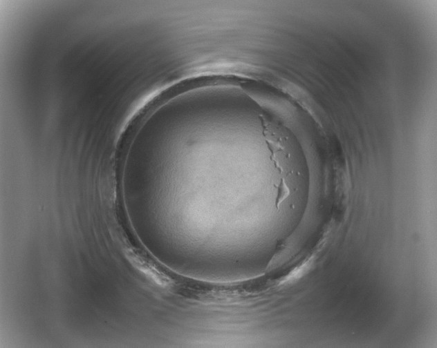 X0000066541069200603241405