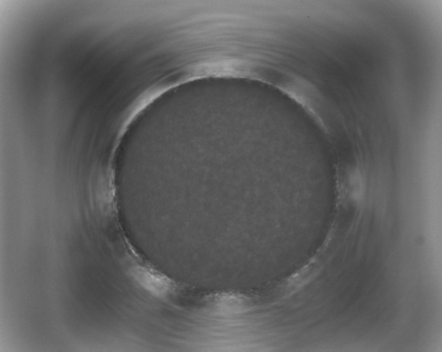 X0000066541070200603241405