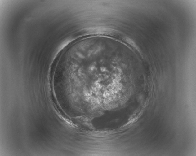 X0000066541071200603241405