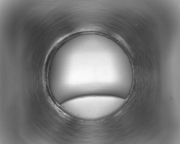 X0000066541072200603241405