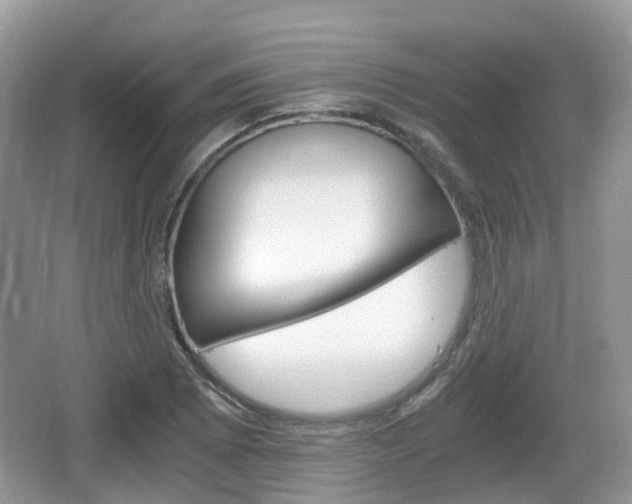 X0000066541073200603241405