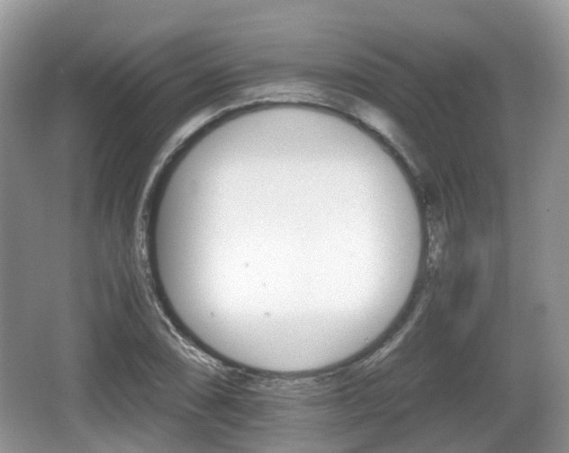 X0000066541074200603241405