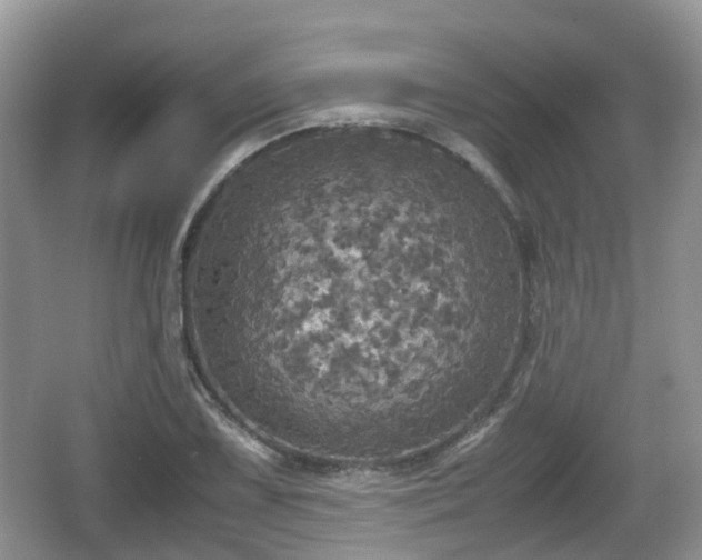 X0000066541075200603241405