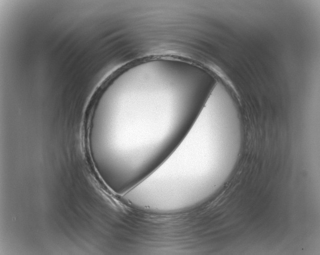 X0000066541076200603241405