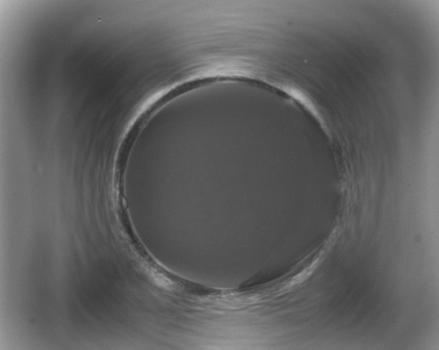 X0000066541077200603241405