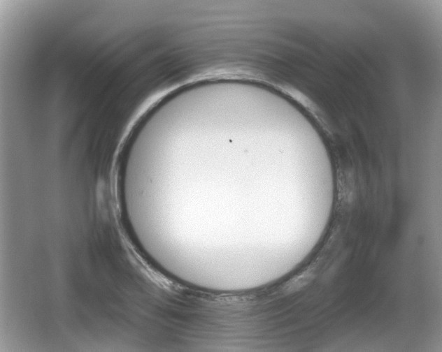 X0000066541078200603241405