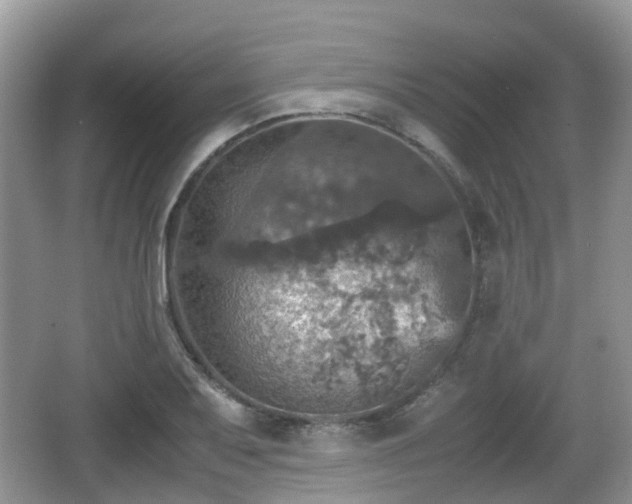 X0000066541079200603241405