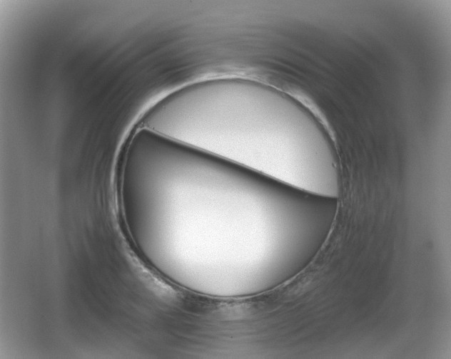 X0000066541080200603241405