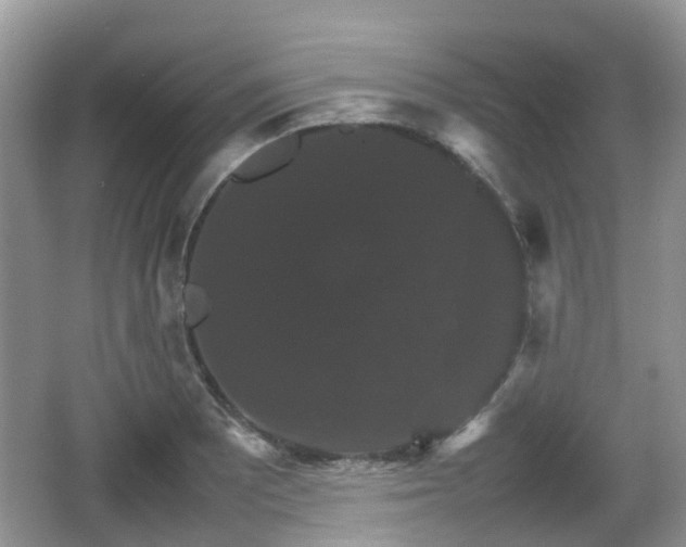 X0000066541081200603241405