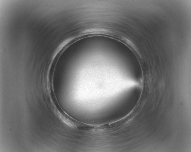 X0000066541082200603241405