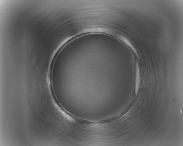 X0000066541084200603241405