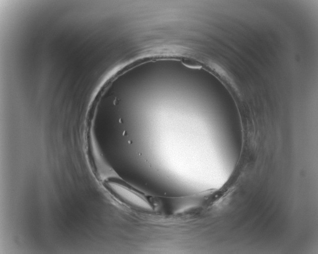 X0000066541085200603241405