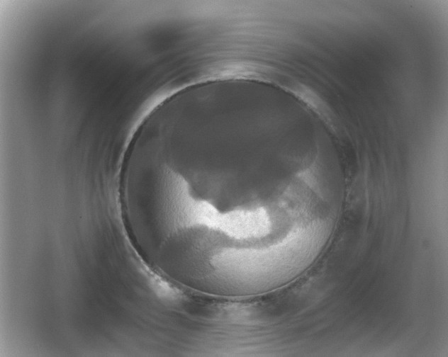 X0000066541086200603241405