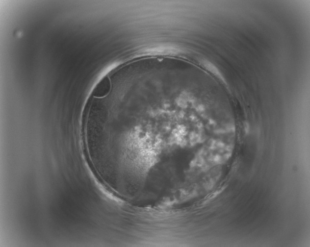 X0000066541087200603241405