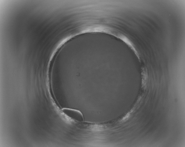 X0000066541088200603241405