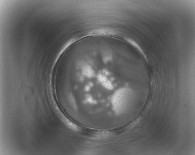 X0000066541091200603241405