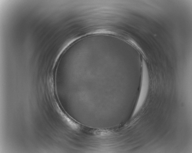 X0000066541092200603241405