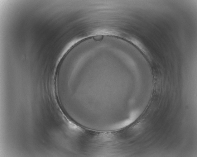 X0000066541094200603241405