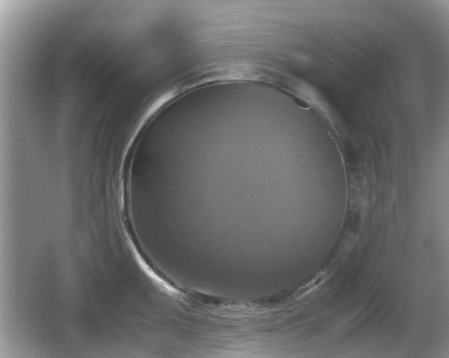 X0000066541095200603241405