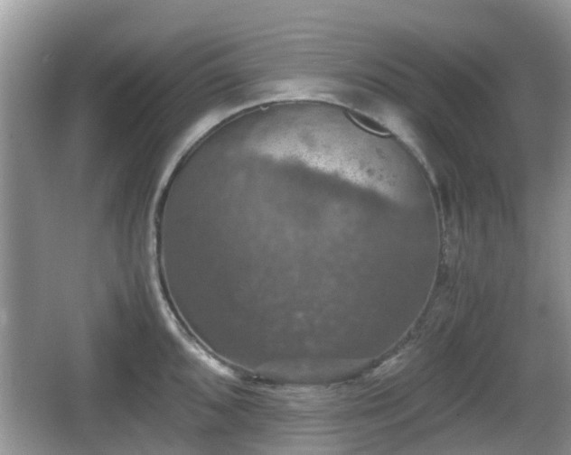 X0000066541096200603241405