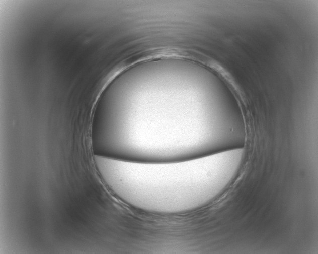 X0000066541097200603241405