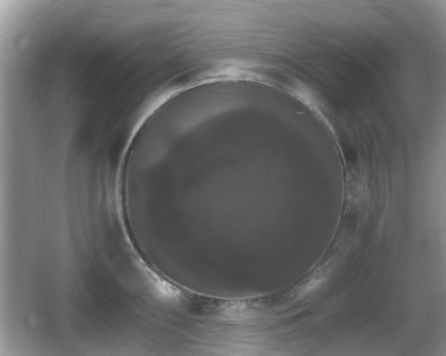 X0000066541098200603241405