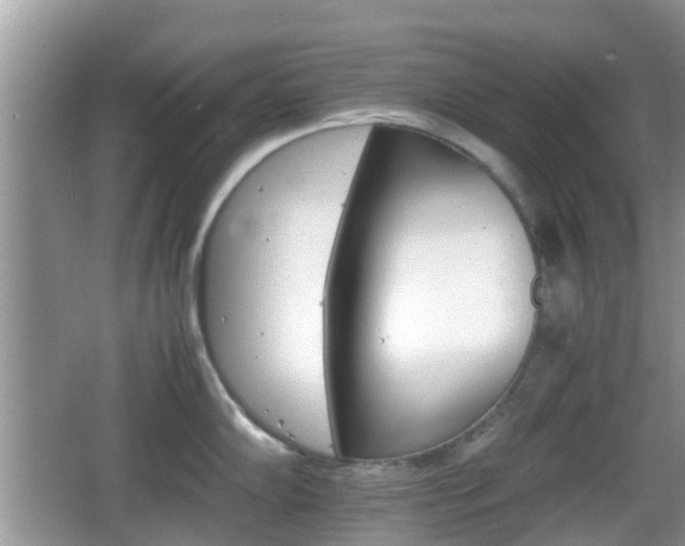 X0000066541102200603241405