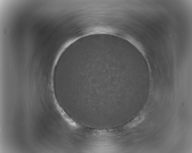 X0000066541104200603241404