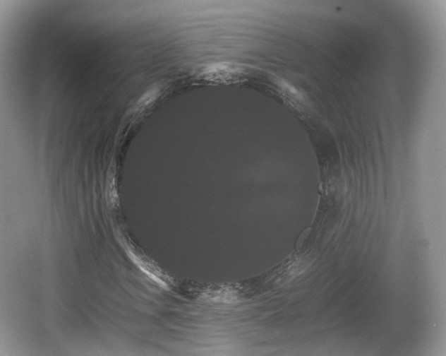 X0000066541106200603241404