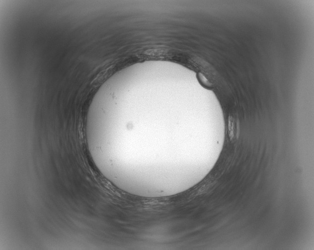 X0000066541107200603241404