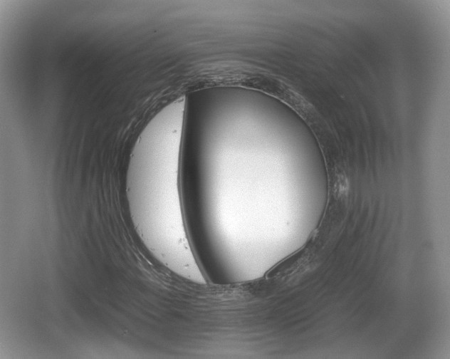 X0000066541108200603241404