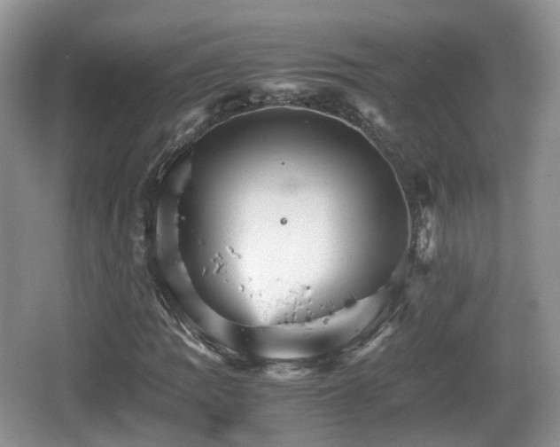 X0000066541109200603241404