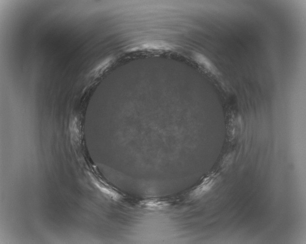 X0000066541110200603241404