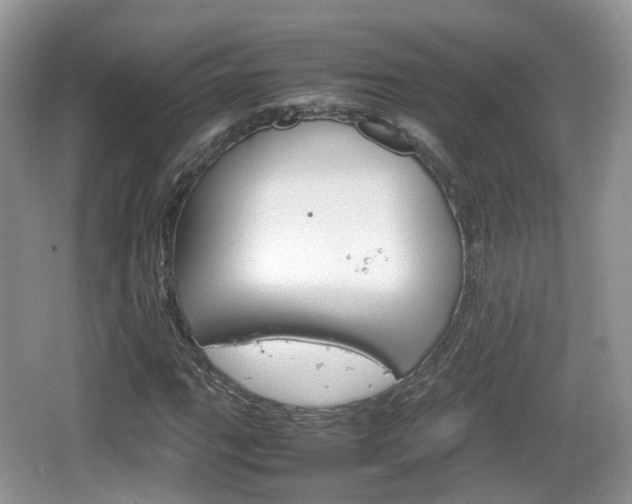 X0000066541111200603241404